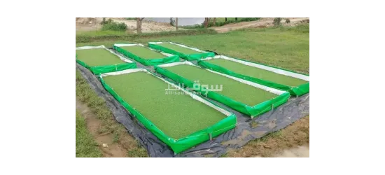 طربال زراعة مقاوم للماء - 3