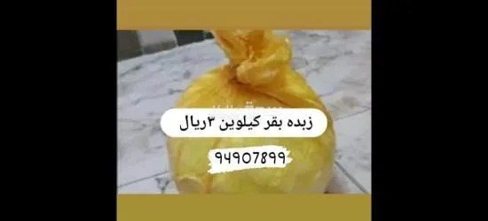 زبده بقر وزنها كيلوين ب٣