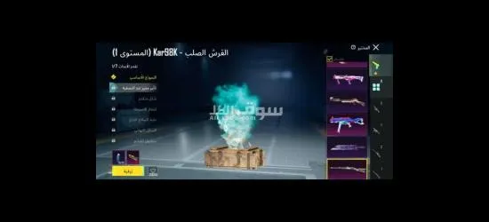 حساب ببجي قديم - 17