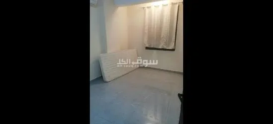 مطلوب بنت شريكة في السكن - 3