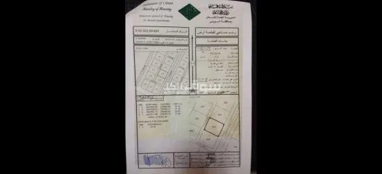 البريمي الخضراء الجديدة