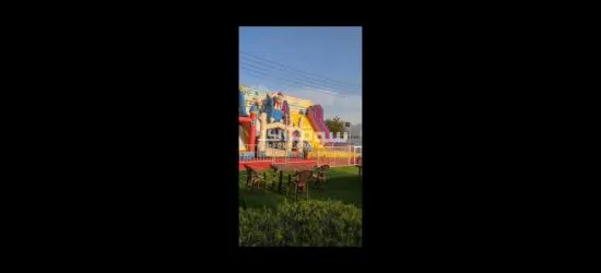 نطوطات للبيع مع الملحقات