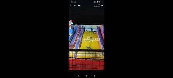 نطوطات للبيع مع الملحقات - 2