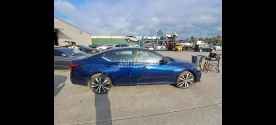 التيما ٢٠١٩