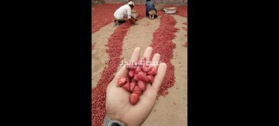 يوجد لدينا منتجات يمنيه - 2