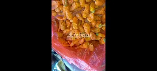 يوجد لدينا منتجات يمنيه - 6