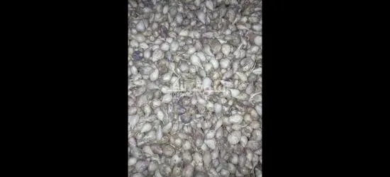 يوجد لدينا منتجات يمنيه - 10