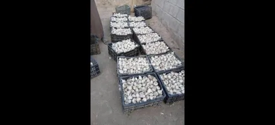 يوجد لدينا منتجات يمنيه - 11