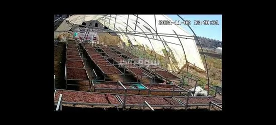 يوجد لدينا منتجات يمنيه - 20