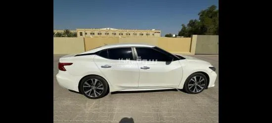 للبيع م****يما 2016 - 2
