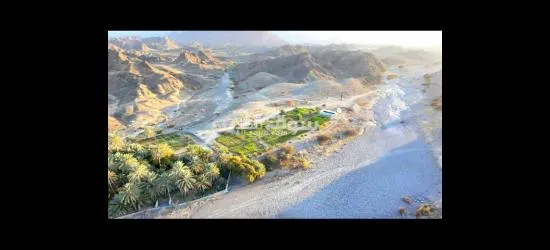 للبيع مزرعة في حلبان - 2