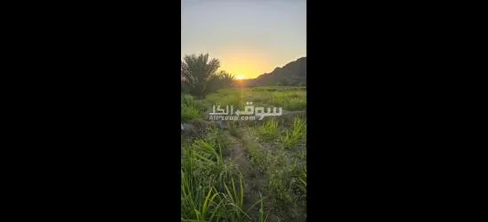 للبيع مزرعة في حلبان - 3