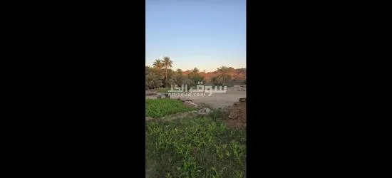 للبيع مزرعة في حلبان - 4