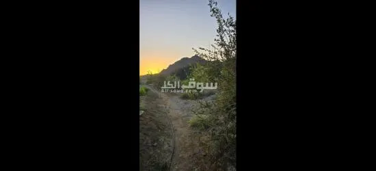 للبيع مزرعة في حلبان - 8