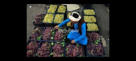 خيرات عمان واليمن بين يديك - 3