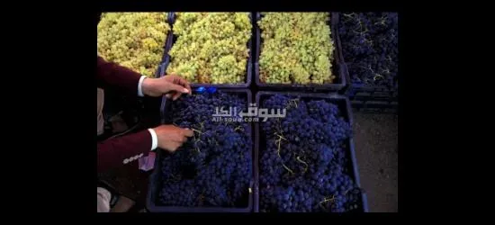 خيرات عمان واليمن بين يديك - 4