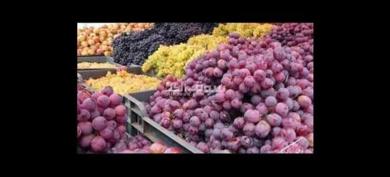 خيرات عمان واليمن بين يديك - 5