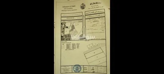 ارض زراعيه للبيع في صحار من المالك