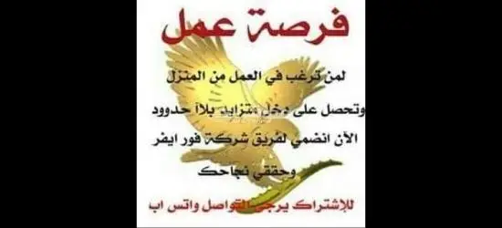 فرصة عمل حر من الموبايل - 13
